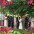 Sherrie Johnson Engst's profile image