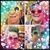 Renee Bianchi's profile image