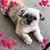 Sandra Hernandez Berrios's profile image