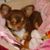 Cathy Simione Marcello's profile image