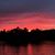 Sue Sigmon-Nosach's profile image