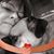 Catherine Burke's profile image