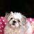 Jill Slusher's profile image
