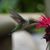 Claude Gagnon's profile image