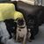 Jennifer Recendez Dailey's profile image