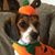 Krista Ragan Fenn's profile image