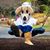 Afs Alumni-Office's profile image