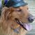 Cindy Adams Morin's profile image