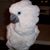 Helen Skinner's profile image