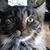 Sharon Jardin's profile image
