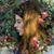 Jamie May's profile image