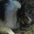 Donna Kraemer's profile image