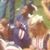 Sheila Cox's profile image