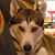 Jim Reginelli's profile image