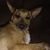 Yvonne Dillard's profile image