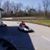 Mark Cline's profile image