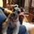 JoEllen Barr's profile image