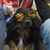 Łukasz Za's profile image