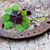 Pamela R. Ivy Taylor's profile image