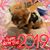 Mirjam De Groof's profile image