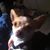 Jeffrey Bajena's profile image