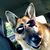 Michelle Brandstedter's profile image