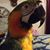 Lee Bissell's profile image