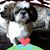 Joseph Martinelli's profile image
