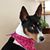 Kay Robbins's profile image