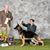 Lori Payne Mojave Gsd's profile image