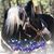 Diane Kane's profile image