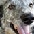 Belinda Crawford Parsons's profile image