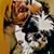 Jeff Gentz's profile image