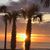Pamela Steve Hicks's profile image