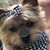 Sandra Smith McDougal's profile image