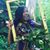 Felicia L. Corbett's profile image