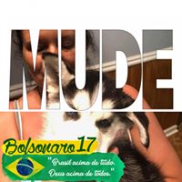 Jennifer Peters Knappenberger's profile image