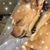 Gail Ehrhardt's profile image