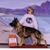 Anja Heibloem Stroud's profile image