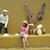 Soraya De Diego's profile image