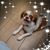Bea Ruckey's profile image