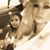 Ashley Marie Montemurro's profile image