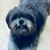Anjie Bass Hinson's profile image