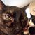 Chelsi Kilcoyne's profile image
