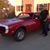 Steve Terrell's profile image