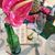 Romeo Fernandez's profile image