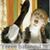 Paola Weston-Capuano's profile image