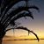 Viola Hursh Ranck's profile image