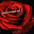 Jackie Overton's profile image