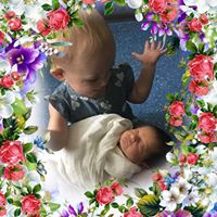 Lynne Bateson's profile image